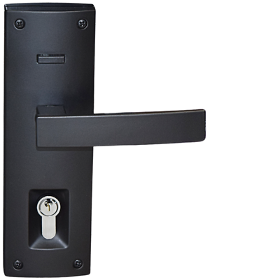 3-in-1 Trilock Long Plate Entrance Set 1601